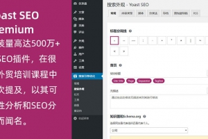 WordPress高级SEO插件Yoast SEO Premium v11.8专业破解版100%中文汉化