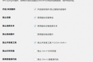 WordPress插件-网站防复制 WPCopyRights
