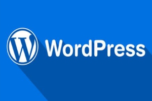 WordPress采集插件 文章可多线程采集 自动采集插件Auto Post Pro3.6.3