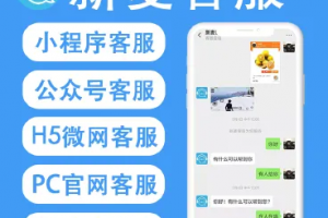 新麦客服v1.6.5源码-修复了客户反遗的BUG