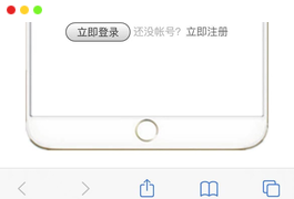 惩戒者短信云呼轰炸机源码【无加密全开源】