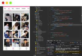 多套头像/壁纸/背景图资源微信小程序源码下载 粉色UI 【带流量主】