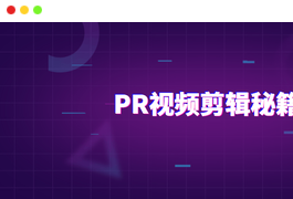 PR视频剪辑通关秘籍案例讲解