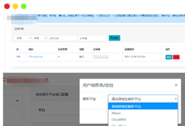 最新二级域名分发系统源码下载