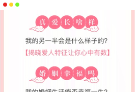 测桃花运网站系统源码