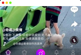 高仿抖音短视频APP源码,支持直播 带原生安卓和ios源码 后台PHP-带安装教程