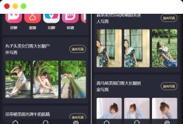 最新抖你妹原版主题源码仿抖音模式套图SEO源码下载_WordPress图片主题