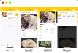 校园流浪猫信息记录和分享的小程序源码下载