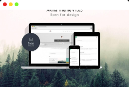 极简主题Akina WordPress主题