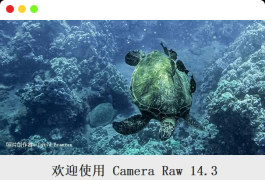 Adobe CameraRAW处理工具v15.2.0