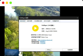 全能影音播放器PotPlayer Dev去广告版