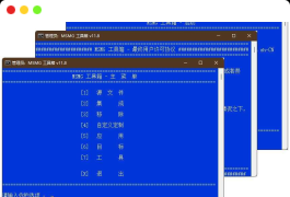 系统精简工具箱MSMGv13.2绿色中文版