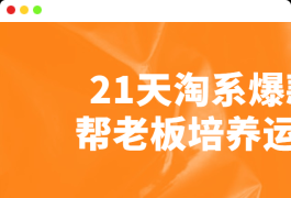 21天淘系爆款帮老板培养运营教程