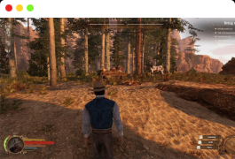 狂野西部时代/Wild West Dynasty