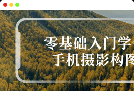 零基础入门学会手机摄影构图造型手段
