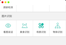 AI智能识别微信小程序源码
