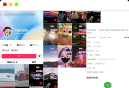 花800买的抖音标签检测源码【全网首发】