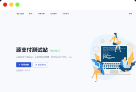 最新Ypay源支付系统源码 支持易支付和码支付 V6.9.9
