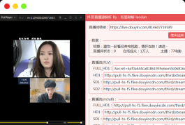 抖音直播源实时解析工具 直播录制