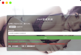 2024最新php项目加密源码