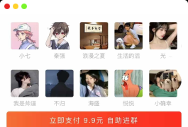 最新付费进群系统