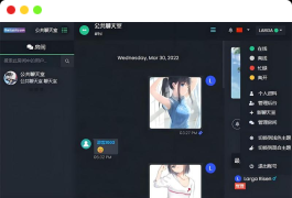 最新公共聊天室系统源码 ChatNet V1.11-V1.9 完整汉化版源码  私人聊天程序