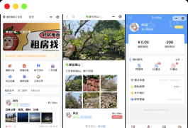 同城论坛发布社区系统源码 二手闲置 房屋出租 全开源